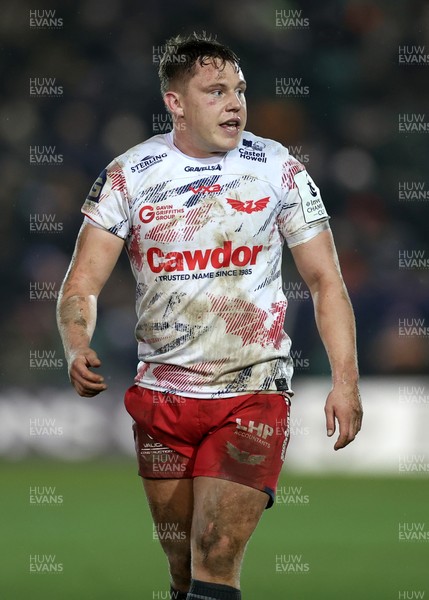 180126 - Northampton Saints v Scarlets - European Rugby Champions Cup - Sam Costelow of Scarlets 