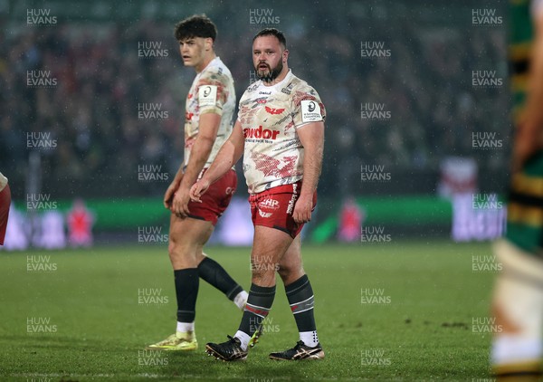 180126 - Northampton Saints v Scarlets - European Rugby Champions Cup - Harri O�Connor of Scarlets 