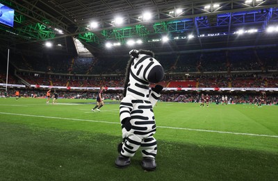 240525 - Northampton Saints v Union Bordeaux-Begles, EPCR Champions Cup Final - Investec Mascots entertain the crowd ahead of the match