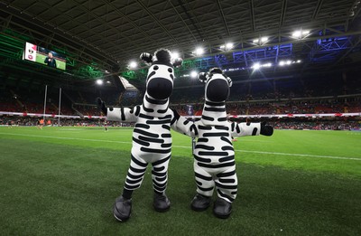 240525 - Northampton Saints v Union Bordeaux-Begles, EPCR Champions Cup Final - Investec Mascots entertain the crowd ahead of the match