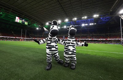 240525 - Northampton Saints v Union Bordeaux-Begles, EPCR Champions Cup Final - Investec Mascots entertain the crowd ahead of the match