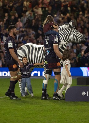 240525 - Northampton Saints v Union Bordeaux-Begles, EPCR Champions Cup Final - Union Bordeaux-Begles celebrate winning the Investec Champions Cup