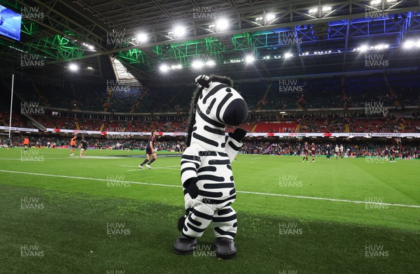 240525 - Northampton Saints v Union Bordeaux-Begles, EPCR Champions Cup Final - Investec Mascots entertain the crowd ahead of the match
