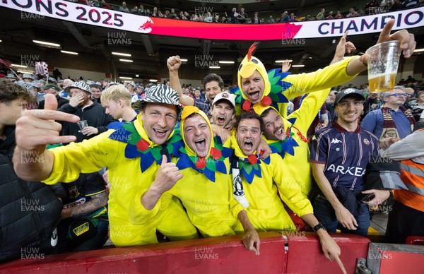 240525 - Northampton Saints v Union Bordeaux-Begles, EPCR Champions Cup Final - Union Bordeaux-Begles fans celebrate as they win the Investec Champions Cup