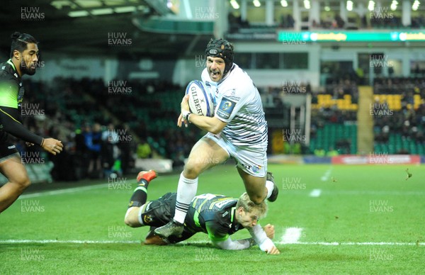 091217 - Northampton Saints v Ospreys - European Rugby Champions Cup - Dan Evans of Ospreys runs on tons score try