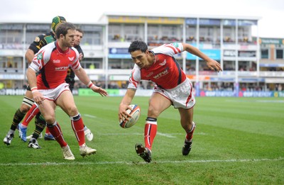 Northampton v Scarlets 011108