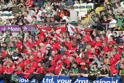 Northampton v Scarlets 110312