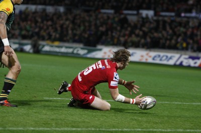 Northampton v Scarlets 181111