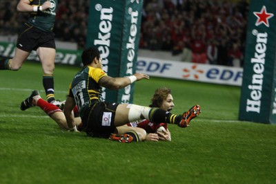 18.11.11 - Northampton Saints v Scarlets - Heineken Cup Scarlets' Liam Williams collects a kick ahead to score 