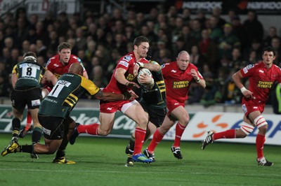 18.11.11 - Northampton Saints v Scarlets - Heineken Cup Scarlets' George North looks to break the Saints line 