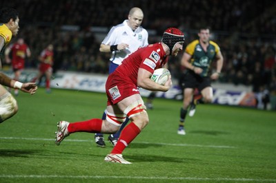 18.11.11 - Northampton Saints v Scarlets - Heineken Cup Matt Gilbert scores for the Scarlets 