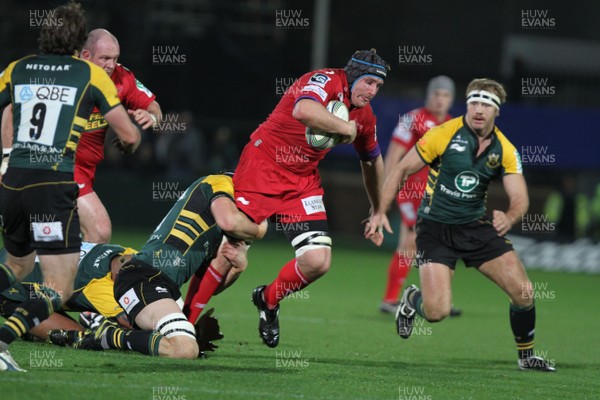 18.11.11 - Northampton Saints v Scarlets - Heineken Cup Scarlets' Ben Morgan attempts to break through the Saints defence 