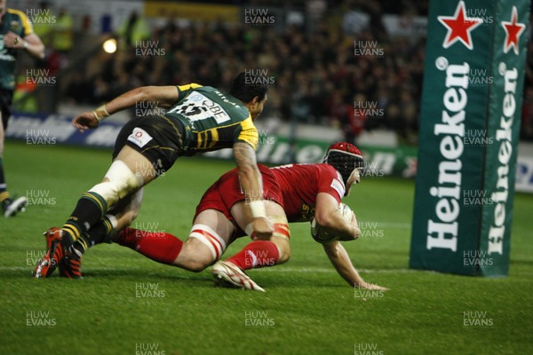 18.11.11 - Northampton Saints v Scarlets - Heineken Cup Matt Gilbert scores for the Scarlets 