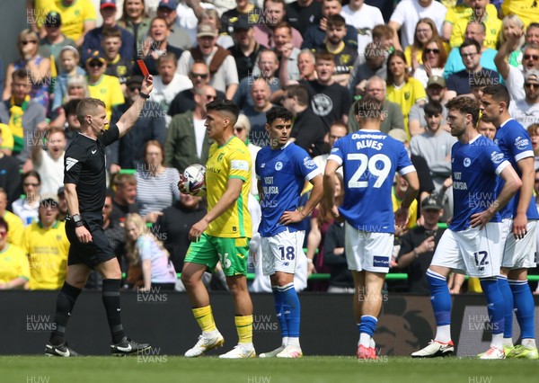 030525 - Norwich City v Cardiff City - Sky Bet Championship - Calum Chambers of Cardiff City (12) is shown a red card by referee Will Finnie