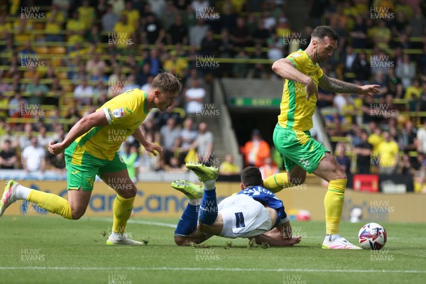 030525 - Norwich City v Cardiff City - Sky Bet Championship - Yousef Salech of Cardiff is fouled in the box 