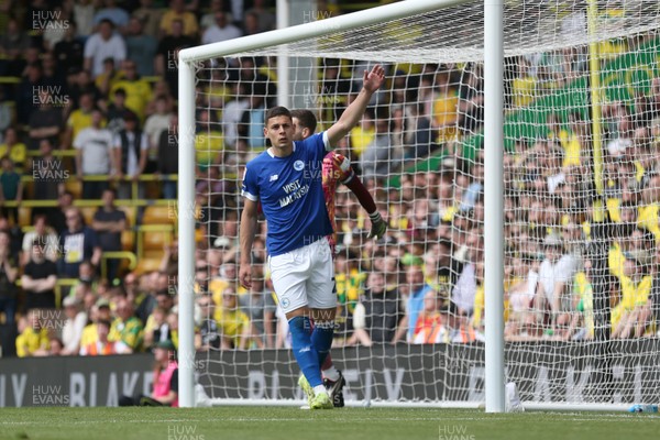 030525 - Norwich City v Cardiff City - Sky Bet Championship - Yousef Salech of Cardiff City celebrates scoring to make it 1-3 