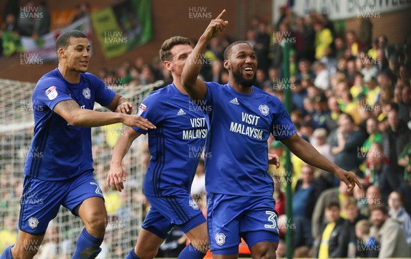 140418 - Norwich City v Cardiff City, Sky Bet Championship - Junior Hoilett of Cardiff City celebrates after scoring City's second goal
