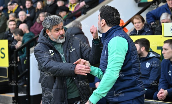 170224 - Norwich City v Cardiff City - Sky Bet Championship - David Wagner Manager of Norwich City  (left) and Erol Bulut Manager of Cardiff City