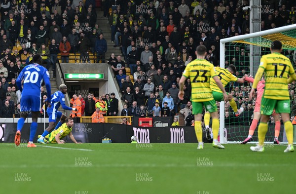 170224 - Norwich City v Cardiff City - Sky Bet Championship - Jamilu Collins of Cardiff City scores the opening goal
