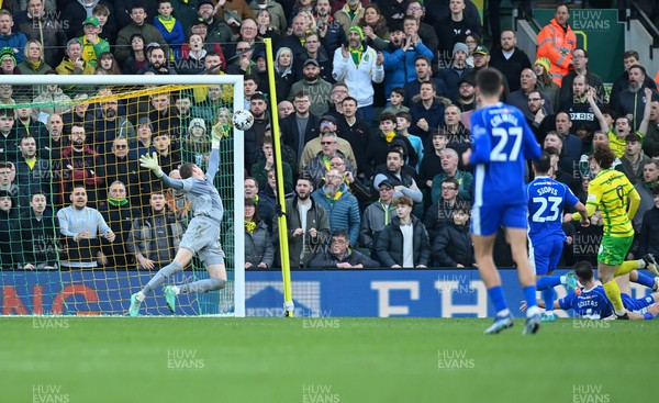 170224 - Norwich City v Cardiff City - Sky Bet Championship - Josh Sargent of Norwich City scores their side's 3rd goal to make it 3-1
