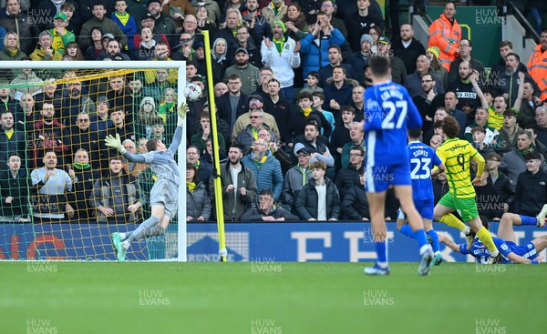 170224 - Norwich City v Cardiff City - Sky Bet Championship - Josh Sargent of Norwich City scores their side's 3rd goal to make it 3-1
