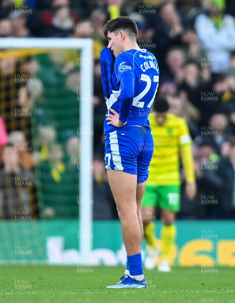 170224 - Norwich City v Cardiff City - Sky Bet Championship - Rubin Colwill of Cardiff City looks dejected after they concede a goal