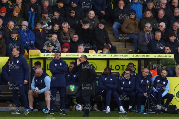 250223 - Norwich City v Cardiff City - Sky Bet Championship - Manager of Cardiff City, Sabri Lamouchi and his staff