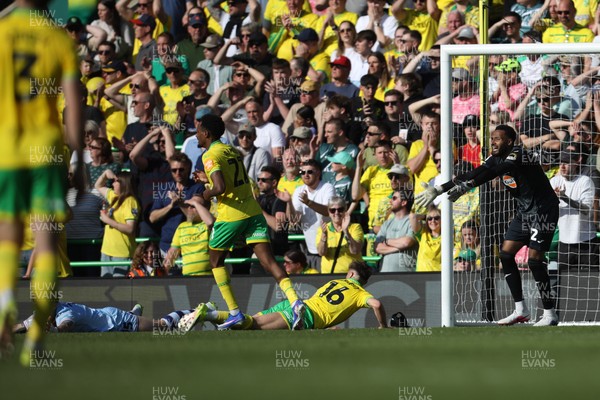 250426 - Norwich City v Swansea City - Sky Bet Championship - Lawrence Vigouroux of Swansea City argues with the referee 