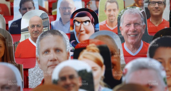 150720 - Nottingham Forest v Swansea - Sky Bet Championship - Fans in poster form in the Brian Clough stand including Buzz Lightyear