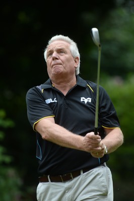 310714 - Ospreys Golf Day -