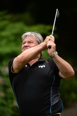 310714 - Ospreys Golf Day -