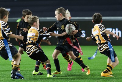 170916 - Ospreys v Benetton Treviso, Guinness PRO12 - Half Time Tag
