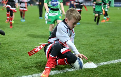 151017 - Ospreys v Clermont Auvergne - European Rugby Champions Cup - Tag Rugby