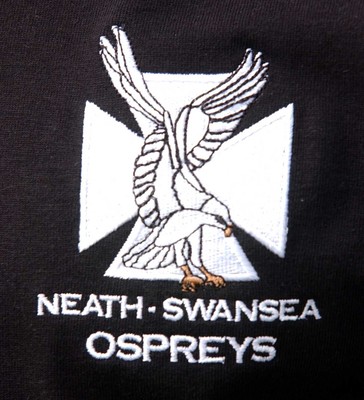 240703 - Neath-Swansea Ospreys Launch - The New Neath-Swansea Ospreys logo