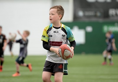 Ospreys Rugby Camps 080415