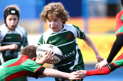 Ospreys Tag Festival 020417