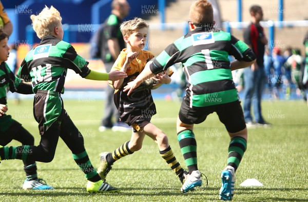 020417 - Ospreys Rugby Festival -  Ospreys community hold a mixed age groups rugby festival as a build up to the game 