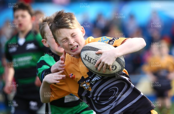 020417 - Ospreys Rugby Festival -  Ospreys community hold a mixed age groups rugby festival as a build up to the game 