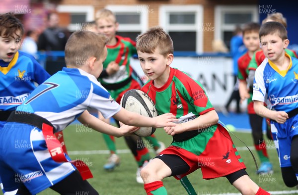 020417 - Ospreys Rugby Festival -  Ospreys community hold a mixed age groups rugby festival as a build up to the game 