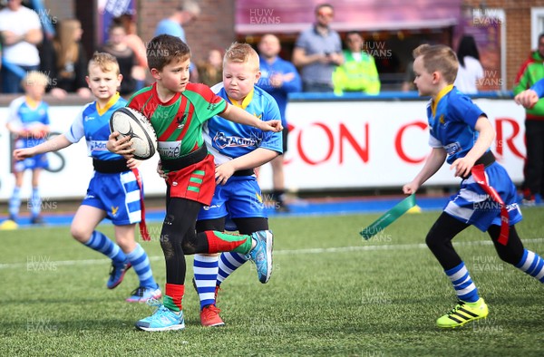 020417 - Ospreys Rugby Festival -  Ospreys community hold a mixed age groups rugby festival as a build up to the game 