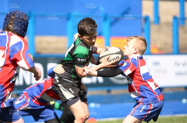 020417 - Ospreys Rugby Festival -  Ospreys community hold a mixed age groups rugby festival as a build up to the game 