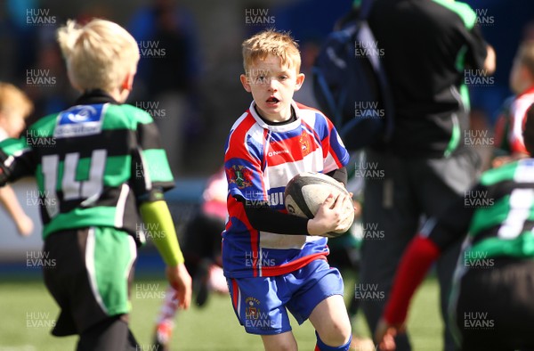 020417 - Ospreys Rugby Festival -  Ospreys community hold a mixed age groups rugby festival as a build up to the game 