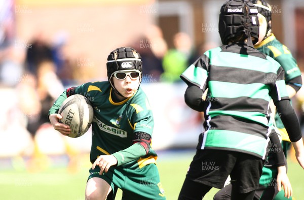 020417 - Ospreys Rugby Festival -  Ospreys community hold a mixed age groups rugby festival as a build up to the game 