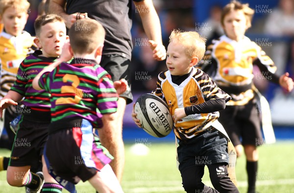 020417 - Ospreys Rugby Festival -  Ospreys community hold a mixed age groups rugby festival as a build up to the game 