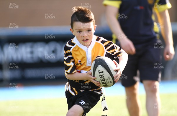 020417 - Ospreys Rugby Festival -  Ospreys community hold a mixed age groups rugby festival as a build up to the game 