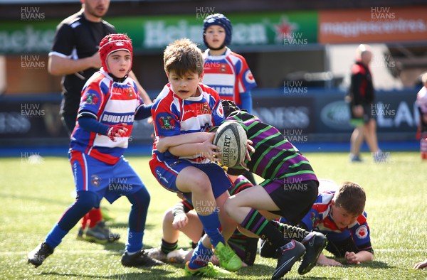 020417 - Ospreys Rugby Festival -  Ospreys community hold a mixed age groups rugby festival as a build up to the game 