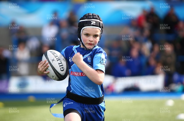 020417 - Ospreys Rugby Festival -  Ospreys community hold a mixed age groups rugby festival as a build up to the game 