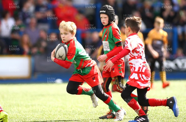 020417 - Ospreys Rugby Festival -  Ospreys community hold a mixed age groups rugby festival as a build up to the game 