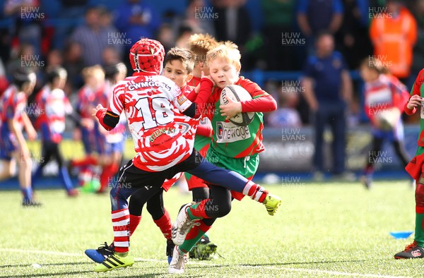 020417 - Ospreys Rugby Festival -  Ospreys community hold a mixed age groups rugby festival as a build up to the game 