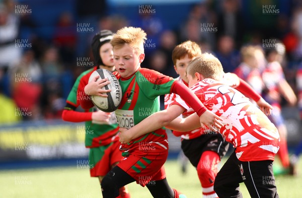 020417 - Ospreys Rugby Festival -  Ospreys community hold a mixed age groups rugby festival as a build up to the game 